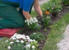 Planting Flowers