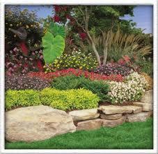 Lush and Fertile Garden in La Mesa Sprinkler Repair