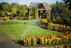 Garden With Sprinkler